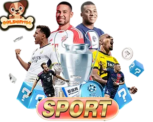 แทงบอลออนไลน์ GOLDEN456 ครบทุกลีก